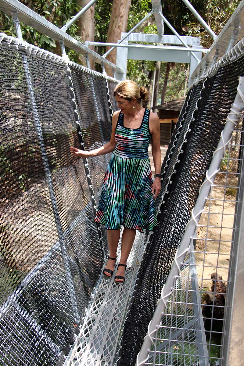 wendy morris is the first person to walk the predator plank at port douglas wildlife habitat