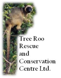 Tree kangaroo awareness