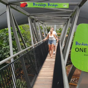 birdseye-bridge-wildlife-habitat-port-douglas